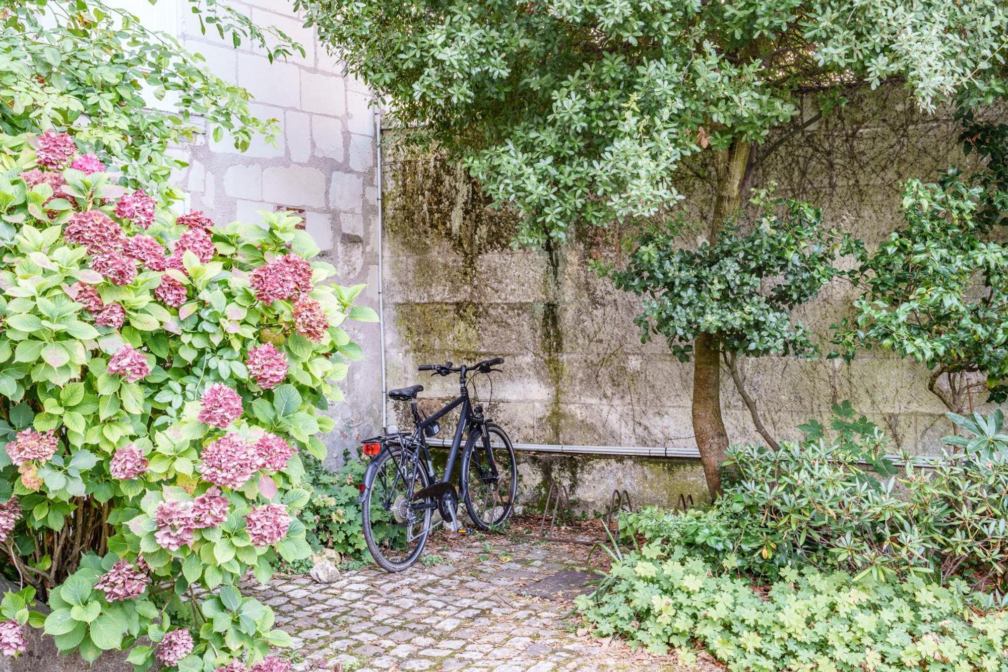 Appartement Raffine Vue Cathedrale, Jardin, Wifi Tours Exteriör bild